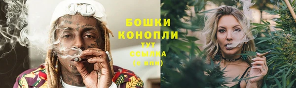 гидропоника Гусев