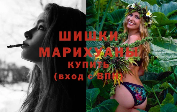 гидропоника Гусев