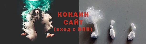 гидропоника Гусев