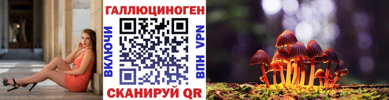 Купить закладки  Новокузнецк  Псилоцибиновые грибы Psilocybine cubensis 
